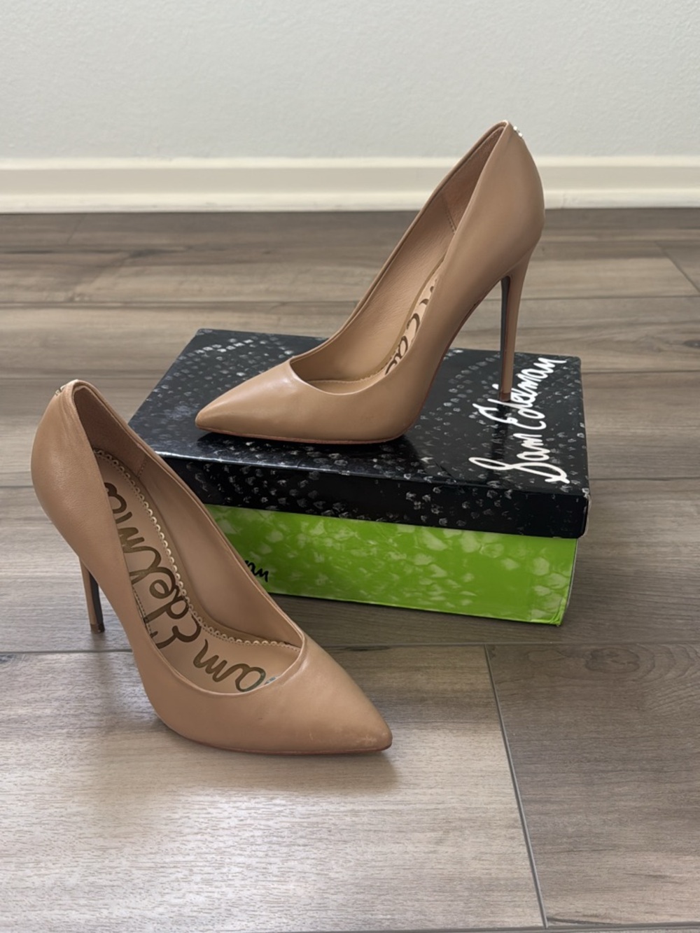 Anna Nude Pointed-Toe Stiletto Pumps